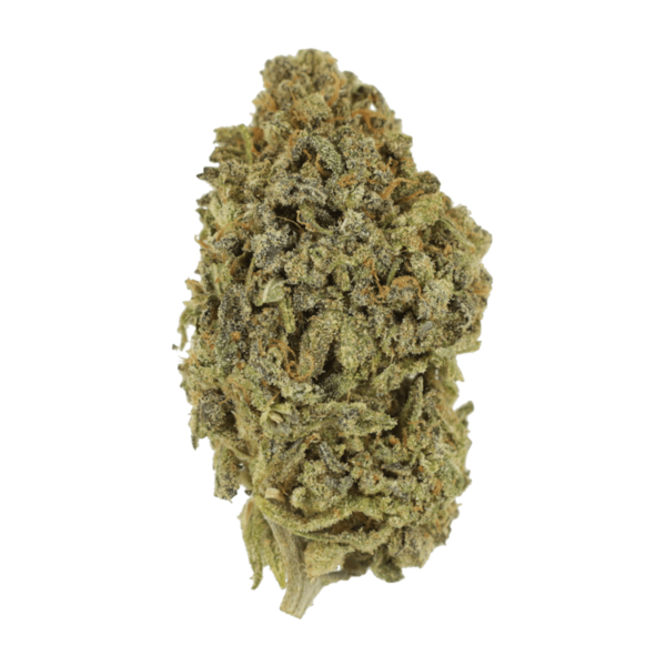 Watermelon Gelato | Hush Cannabis Club Canada
