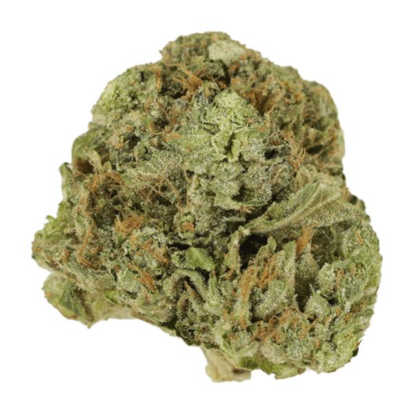 Mango Cream | Hush Cannabis Club Canada