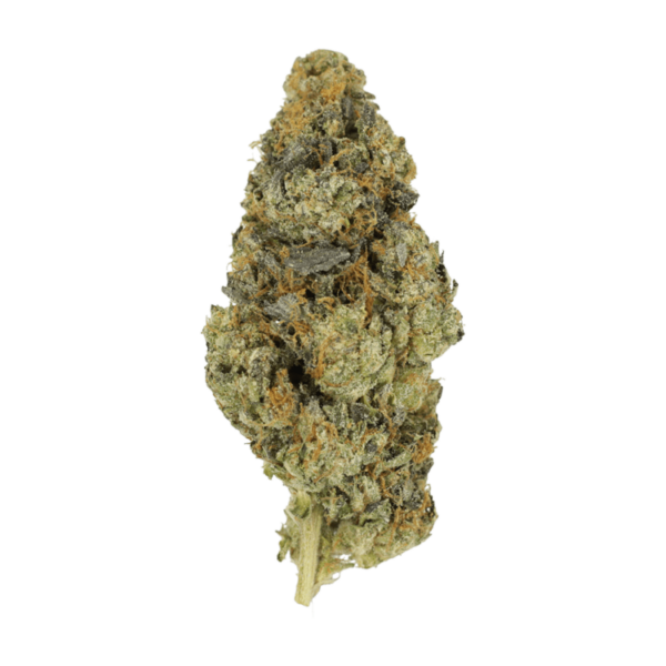 DoSi Face | Hush Cannabis Club Canada