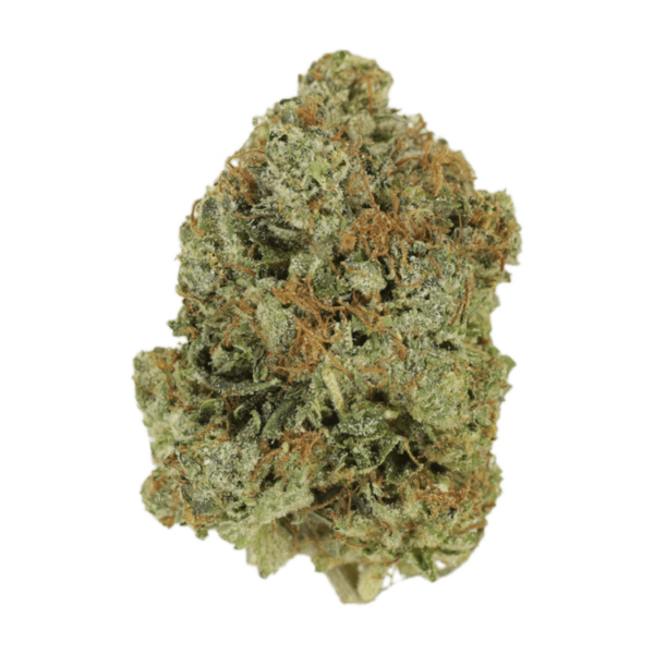 Jack Herer (popcorn) | Hush Cannabis Club Canada
