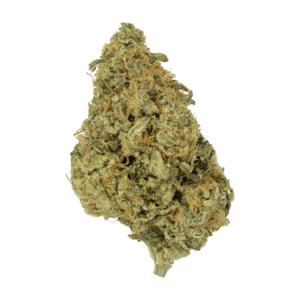 OG Lemon Haze | Hush Cannabis Club Canada