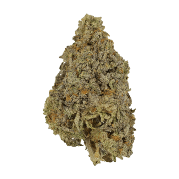 Frosty Gelato | Hush Cannabis Club Canada