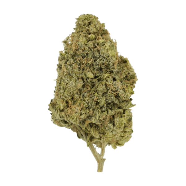 Blunicorn | Hush Cannabis Club Canada