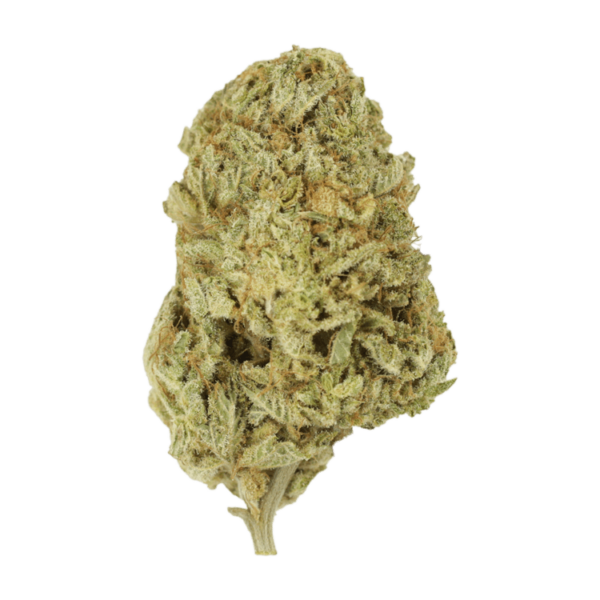 Face Mints | Hush Cannabis Club Canada