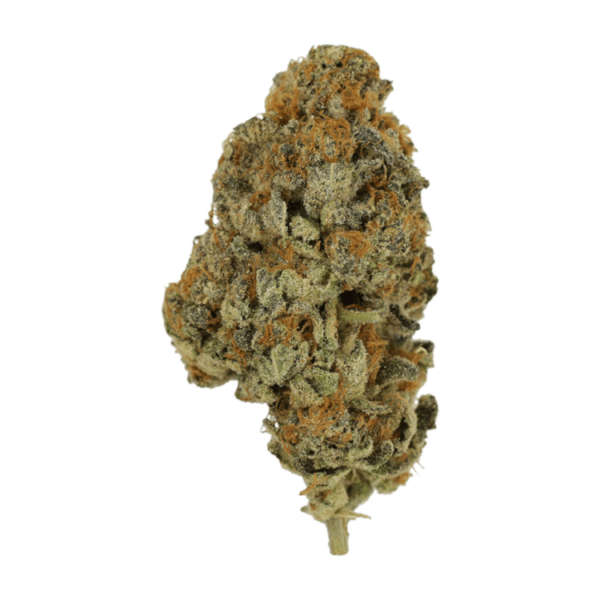 Key Lime Pie | Hush Cannabis Club Canada