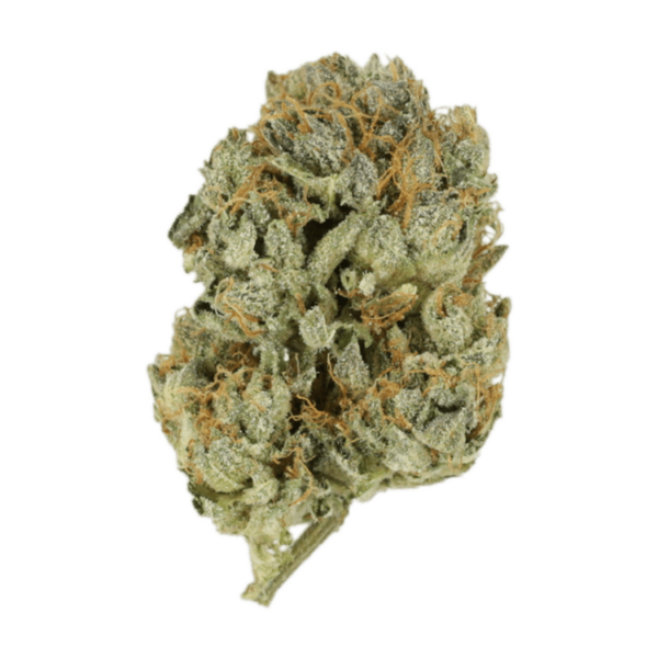 Kashmir Kush | Hush Cannabis Club Canada
