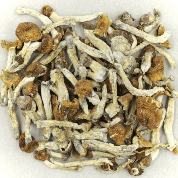 Florida White | Hush Cannabis Club Canada