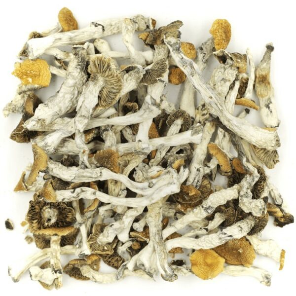 Golden Teacher | Hush Cannabis Club Canada