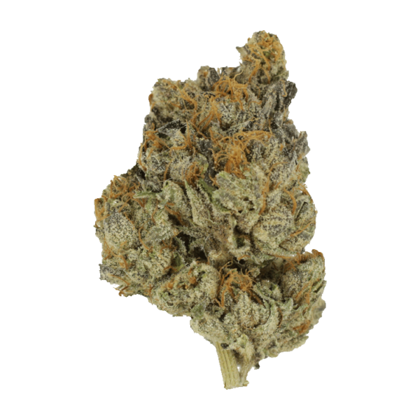 Divorce Cake | Hush Cannabis Club Canada