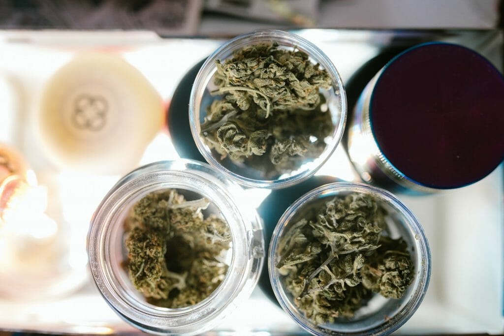 Best cannabis in Canada: Finding the Premium Hybrid Strains | Hush Cannabis Club Canada | Hush Cannabis Club Canada