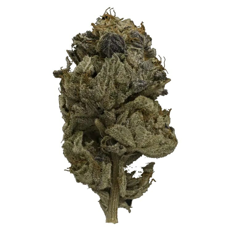 Enjoy the Heavy Indica Effects of Pink Gas Mask Strain | Hush Cannabis Club Canada | Hush Cannabis Club Canada