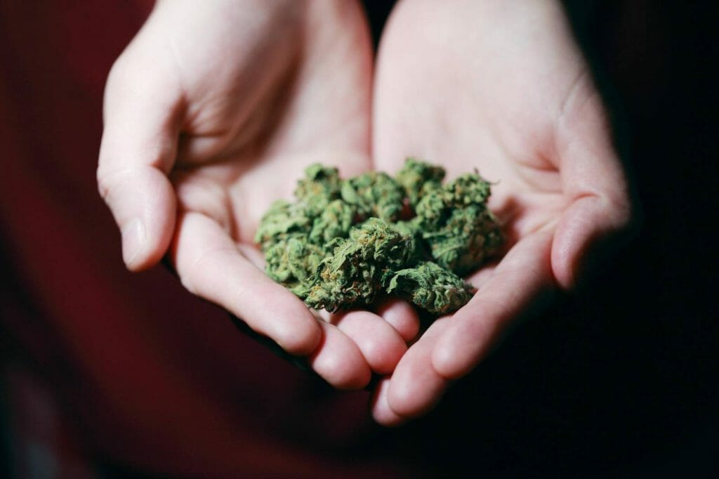 Elevate Your High With The Best Ontario cannabis Strains | Hush Cannabis Club Canada | Hush Cannabis Club Canada