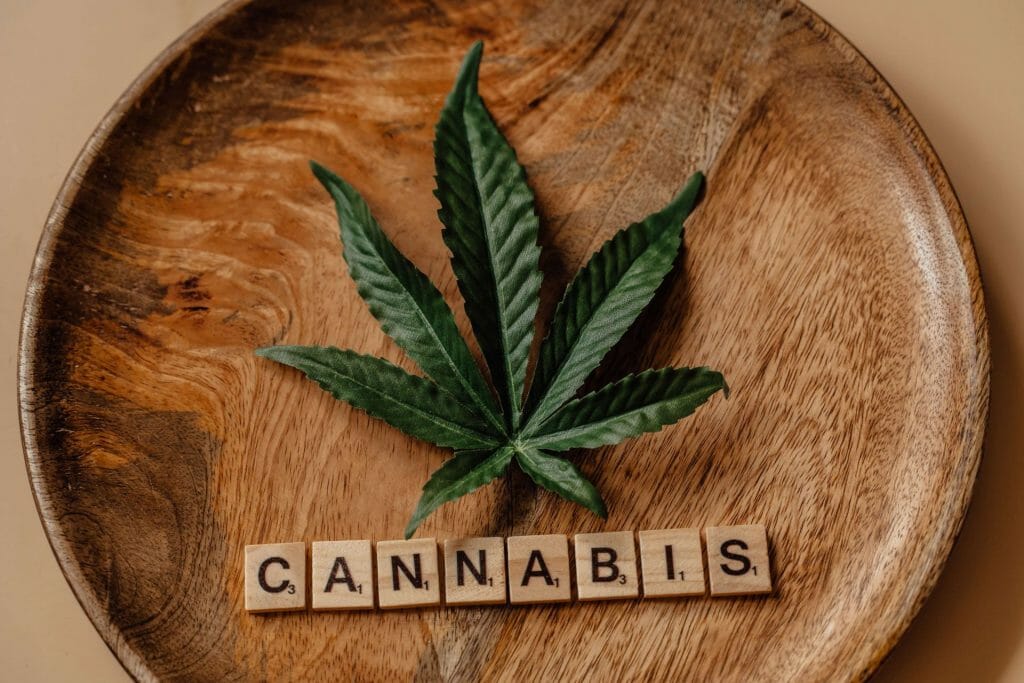 Beyond the Bud: The Role of a cannabis Dispensary in Promoting Wellness | Hush Cannabis Club Canada | Hush Cannabis Club Canada