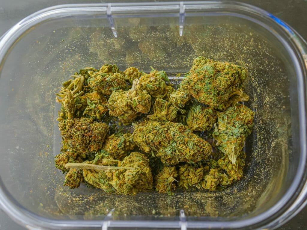 Best cannabis in Canada: Finding the Premium Hybrid Strains | Hush Cannabis Club Canada | Hush Cannabis Club Canada