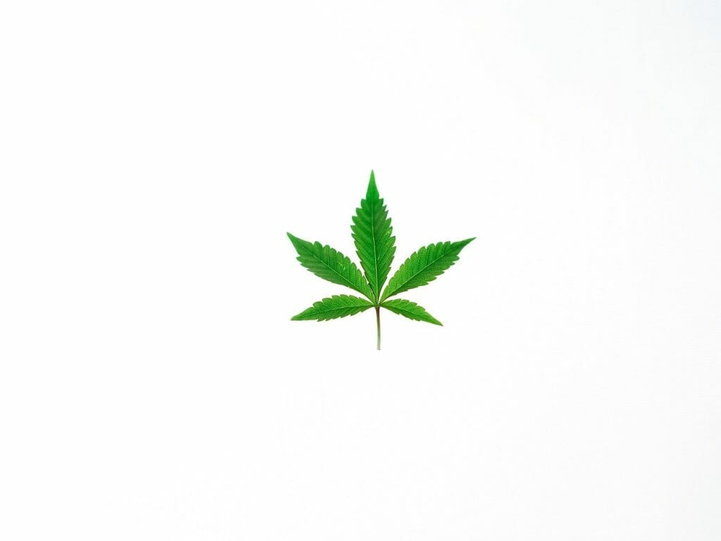 Benefits of Shopping in a BC cannabis Online Dispensary | Hush Cannabis Club Canada