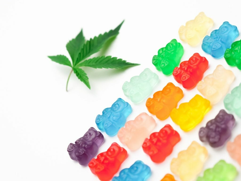 Edible Delights: A Guide to the Most Delicious cannabis in Edmonton | Hush Cannabis Club Canada | Hush Cannabis Club Canada