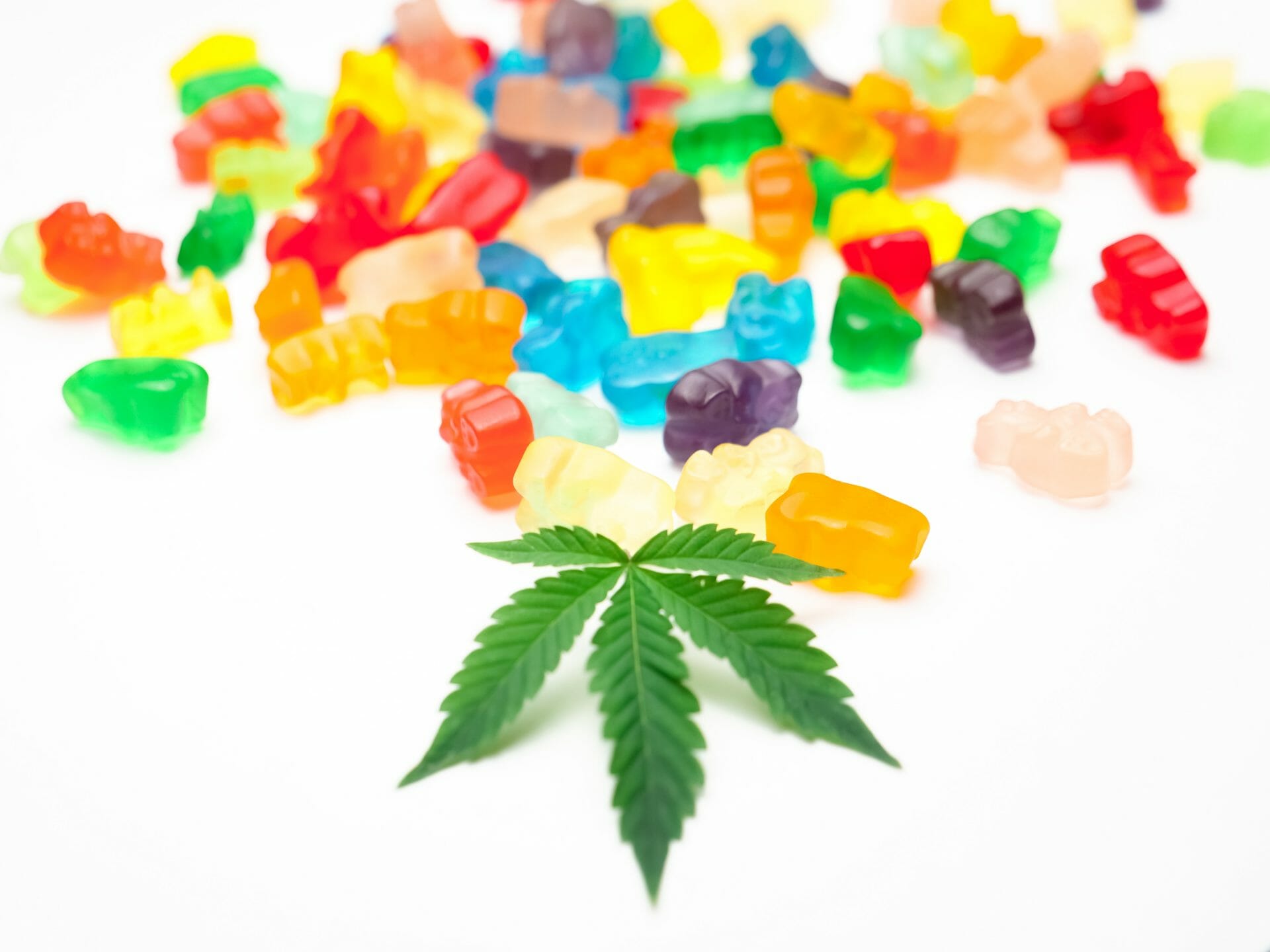 Weed Gummy | Hush Cannabis Club Canada